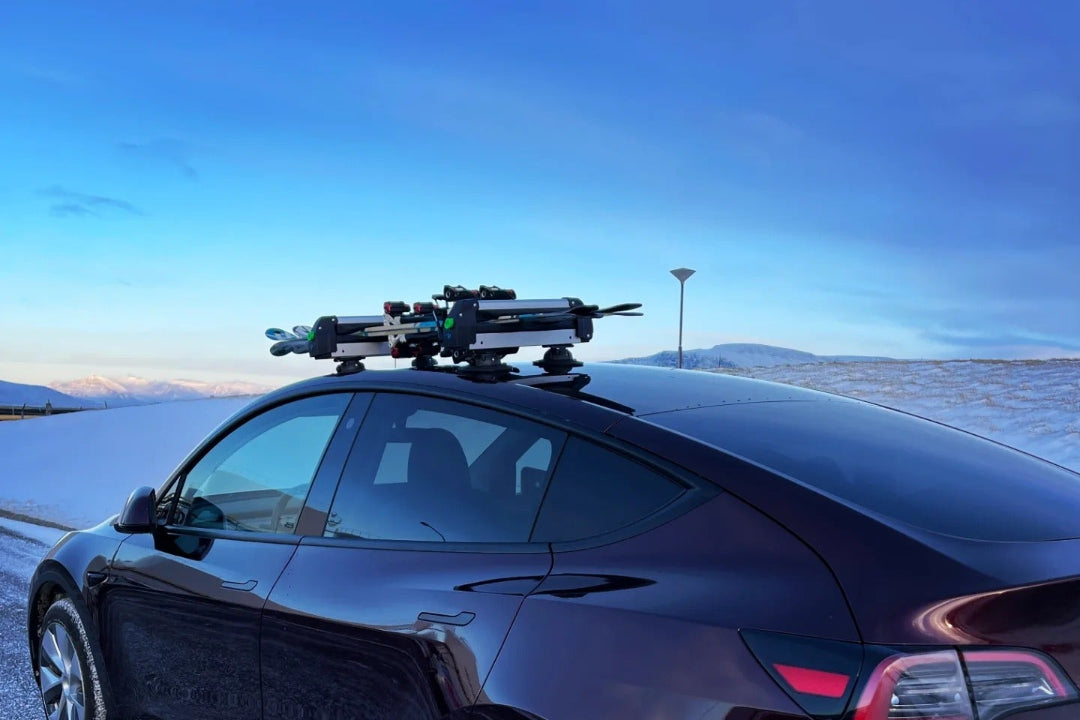 TreeFrog ski-/snowboard dragers (36,5cm) universeel