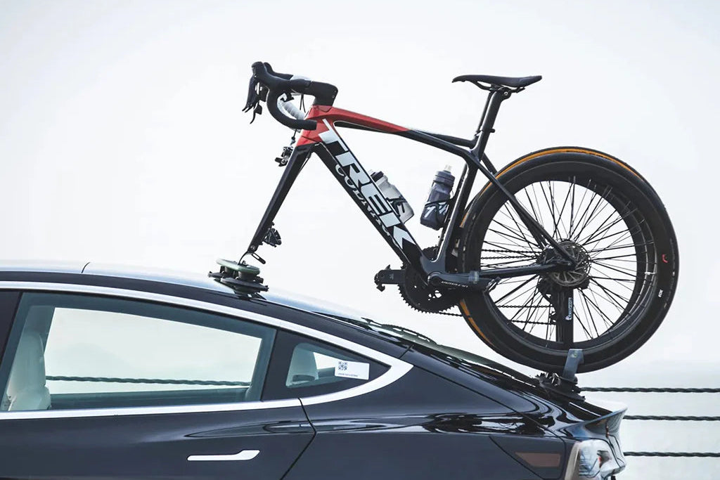 TreeFrog Pro 2 fietsendrager universeel