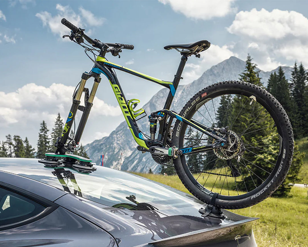 TreeFrog Pro 1 fietsendrager