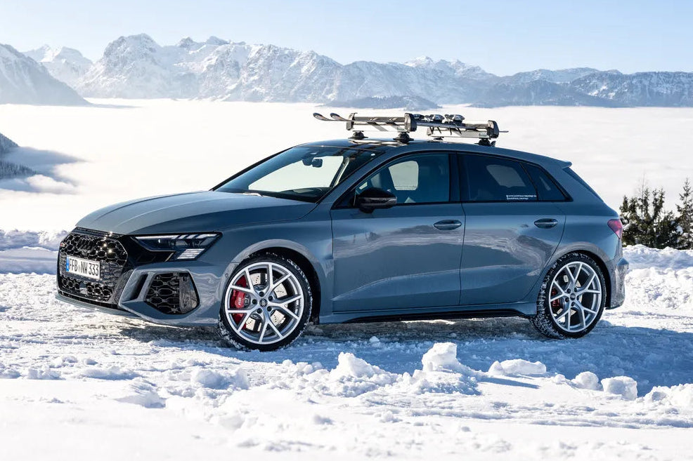 TreeFrog ski-/snowboard dragers (62,6cm) universeel