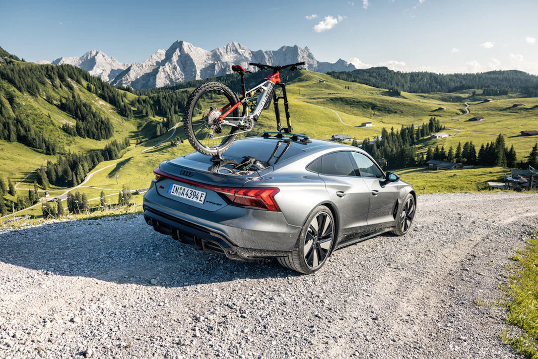 TreeFrog Pro 2 fietsendrager universeel