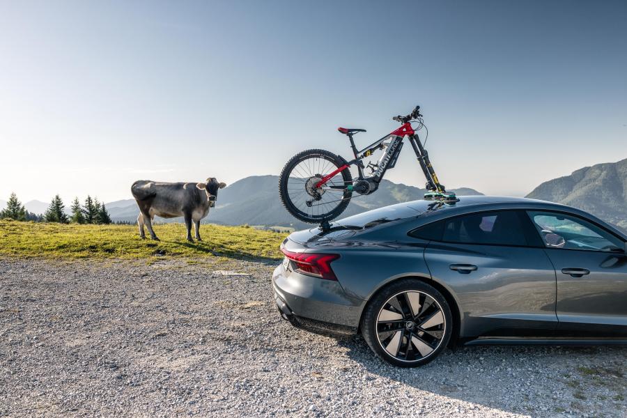 TreeFrog Pro 2 fietsendrager universeel