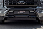 Close up of a black bullbar on a grey Ford F-150
