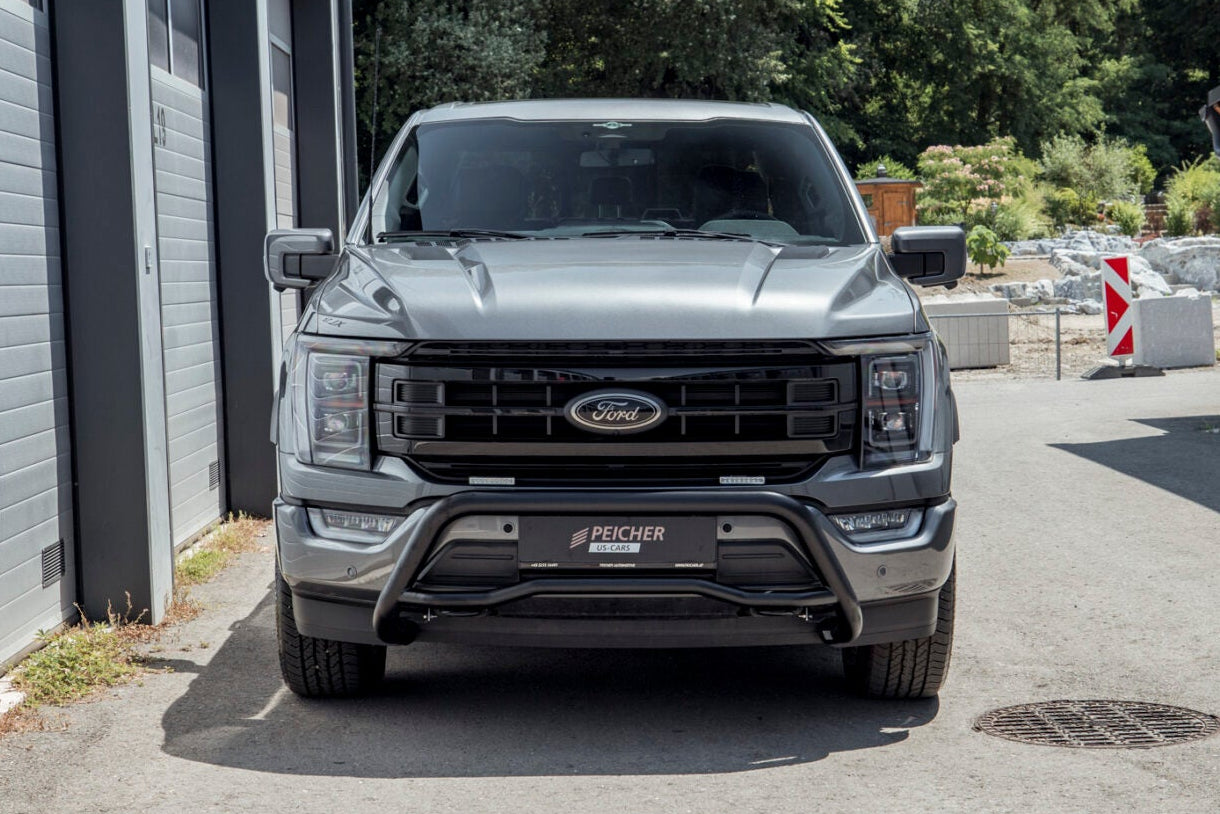Front view of a grey Ford F150 with a black bullbar