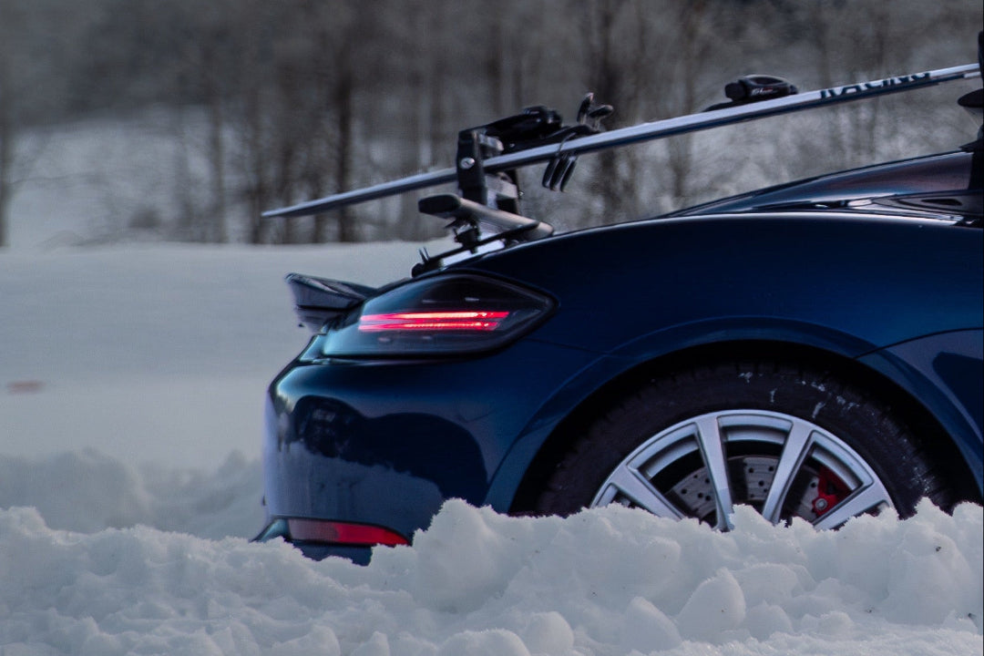 TreeFrog Ski&Snowboard 365 Carrier for Crossbar