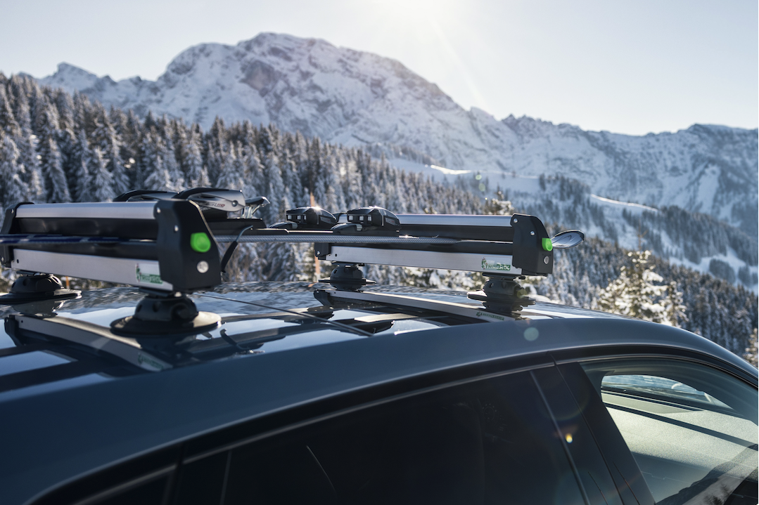 TreeFrog ski-/snowboard dragers (62,6cm) universeel