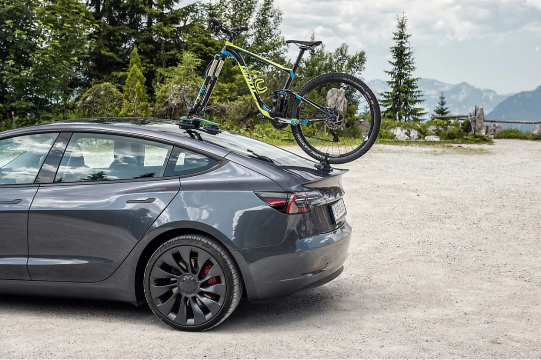 TreeFrog Pro 1 fietsendrager universeel